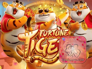 bet_主图